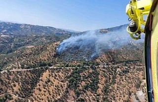 Aydın’daki zirai alan yangınına havadan ve karadan...