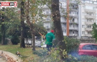 Başkan Anıl Yetişkin “Vatandaşlarımızın Güvenliği...