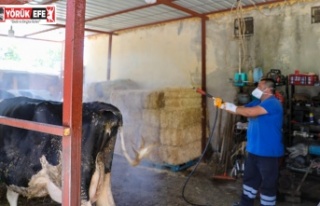 Efeler Belediyesi’nden Halk Sağlığı İçin Kesintisiz...