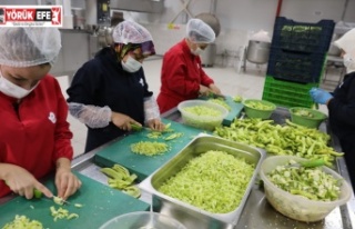 EFELER’İN KADINLARI ÜRETİYOR, SAĞLIKLI ÜRÜNLER...