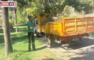 EFELER’İN YEŞİL EKİPLERİNDEN PINARBAŞI’NDA...