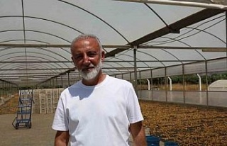 İncir üreticisi tek çatı altında toplanmak için...