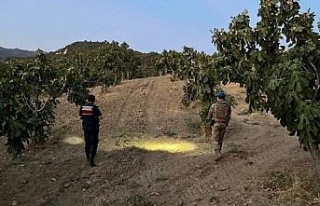 Jandarmadan incir nöbeti