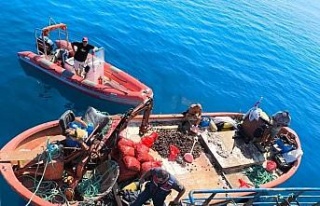 Kaçak avlanan 600 kilo midye tekrar denize bırakıldı
