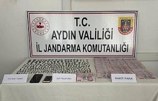 Karacasu’da durdurulan araçta tarihi eser ele geçirildi