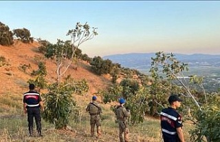 Köşk’te jandarmadan incir nöbeti