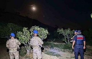 Kuyucak’ta jandarmadan incir nöbeti