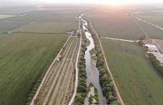 Menderes nehrinde kuraklığın etkileri sürüyor