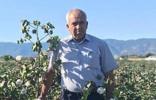 Söke Ziraat Odası Başkanı Tanyeri: "40 liranın...