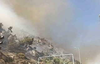 Söke’de makilik alan yangını, söndürme çalışmaları...