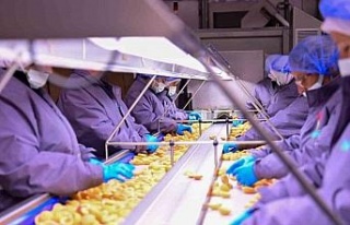 Vali Canbolat, Köşk’te gıda tesisini inceledi