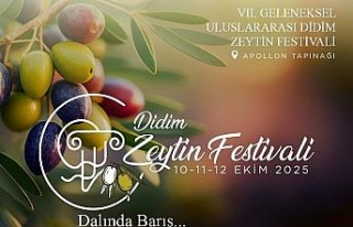 Didim Zeytin Festivali için geri sayım başladı