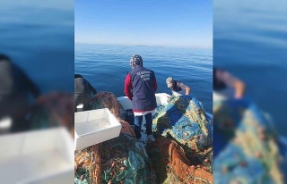 Didim’de su ürünleri kontrolü