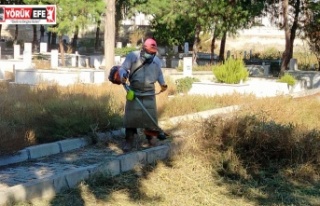 Efeler Belediyesi Mezarlıklarda Bakım Çalışmalarını...