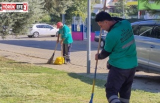 Efeler’de Yeşil Alanlarda Bakım Çalışmaları...