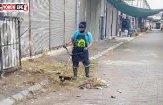 Efeler’in Ekiplerinden Gıda Çarşısı’nda Kapsamlı...