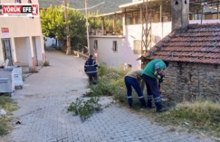 Efeler’in Ekiplerinden Ortak Temizlik Çalışması