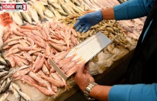 KUŞADASI’NDA BALIK TEZGÂHLARI DENETİMDEN GEÇTİ