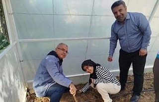 Özel öğrenciler fideleri toprakla buluşturdu