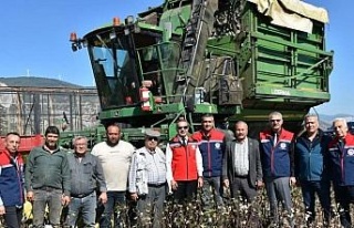 Söke Ovası’nda pamuk hasadı sürüyor