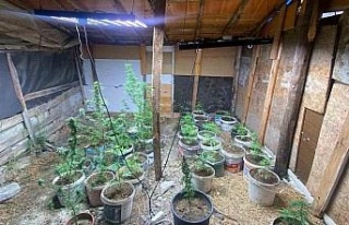 Zahir tacirlerinin kurduğu sistemi jandarma bozdu