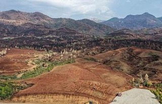 Aydın’da 17 lokasyonda fidan dikilecek