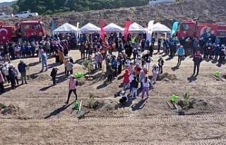 Aydın’da yarın binlerce fidan toprakla buluşacak