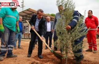 Başkan Yetişkin’den Efeler’e Yeşil Dokunuş