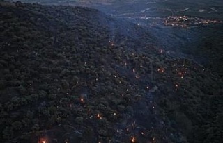 Bozdoğan yangını büyük ölçüde kontrol altına...