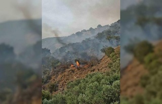 Bozdoğan’da orman yangını