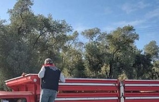 Karpuzlu’da hayvan sevkiyatına denetim