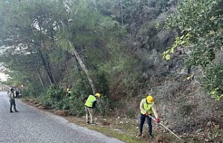 Milli Park’ta risk azaltma çalışmaları sürüyor