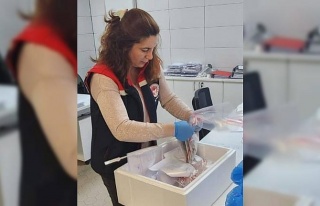 Söke’den ihraç edilecek balıklara analiz