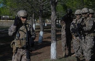 Türkiye ve KKTC Özel Harekatı’ndan ortak mesaj:...