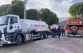 Ziraat alanında başlayan yangın ormana sıçradı