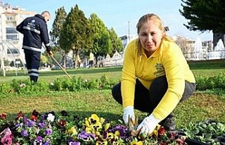 Aydın Büyükşehir Belediyesi Efeler’de çalışmalarını...