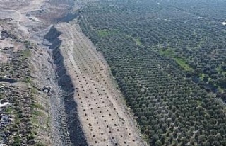 Buharkent’te İlek Bahçesi Projesi’nde altyapı...