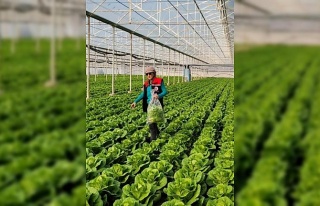 Buharkent’te sağlıklı gıda için pestisit denetimi