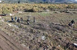 Büyük Menderes Deltası’nda çevre temizliği...