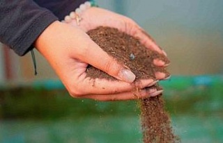 Didim Belediyesi pazar atıklarını komposta dönüştürüyor