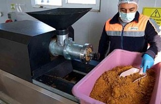 Didim’de her geri dönüşüm, can dostlara umut...