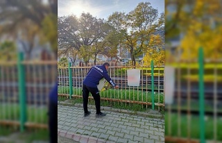 Germencik’te izinsiz afişlere zabıta müdahalesi