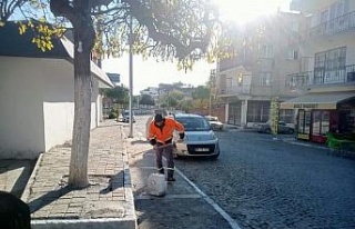 Germencik’te kireçleme ve ağaç budama çalışması