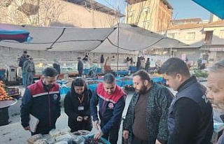 Germencik’te semt pazarında gıda denetimi