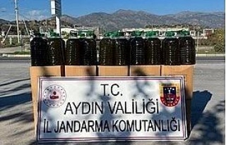 Köşk’te 500 kilogram sahte zeytinyağı yakalandı