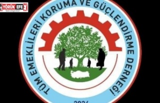 TEKGÜÇ-DER” Emekliler artık pasif değil; disiplinli,...