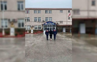 Üç yıl saklandı, kilerde yakalandı