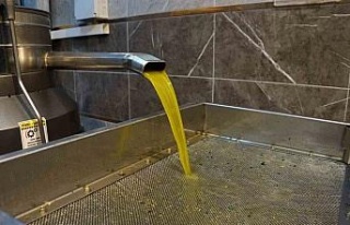 Zeytinyağı fiyatları belli oldu, fiyatlarda artış...