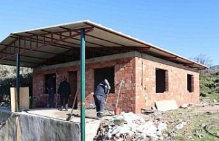 Başkan Arıcı talimat verdi, yangında zarar gören...