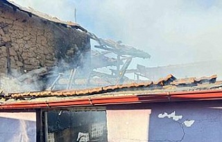 Bozdoğan’da ev alevlere teslim oldu